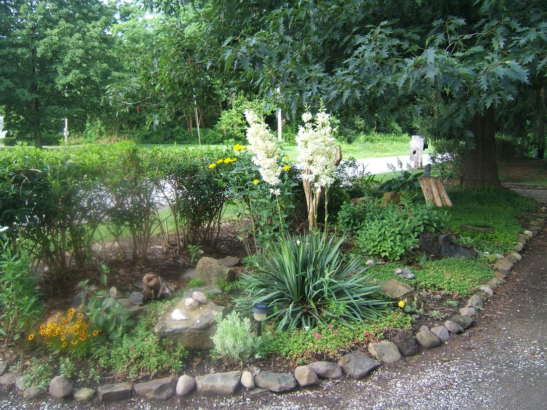 driveway garden 3