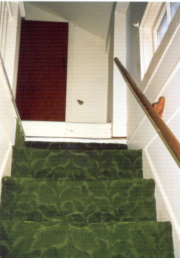 8 new house stairs carpet
