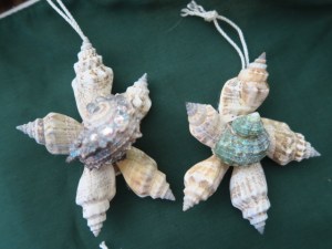 Seashell stars.