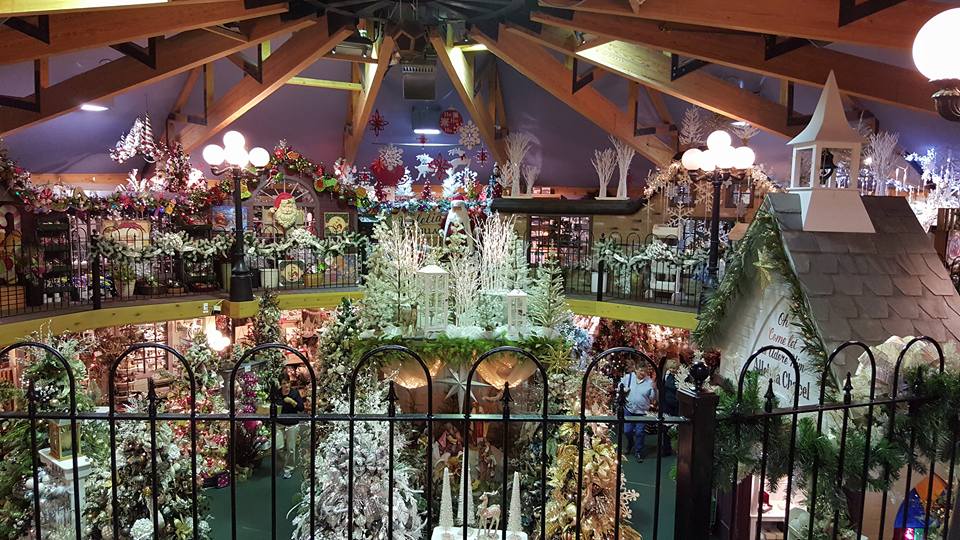 12241204_10153429462719055_667192280060498021_n