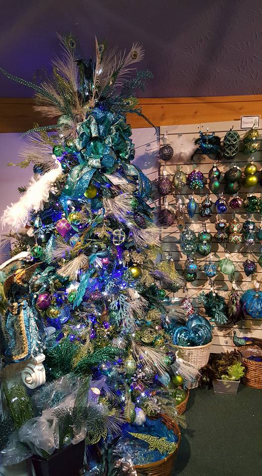 12278787_10153429463094055_4033188192131341508_n