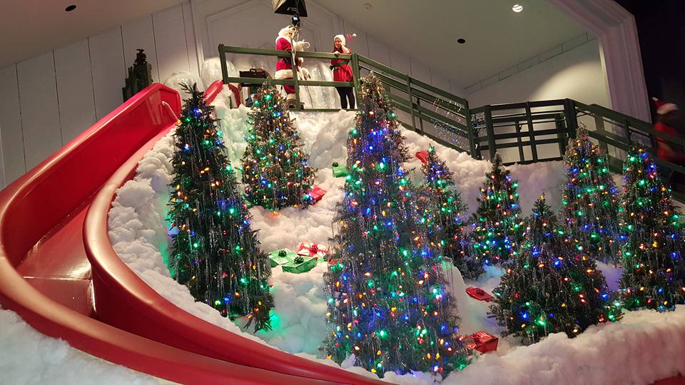 12239484_10153430101379055_1980748925824579832_n