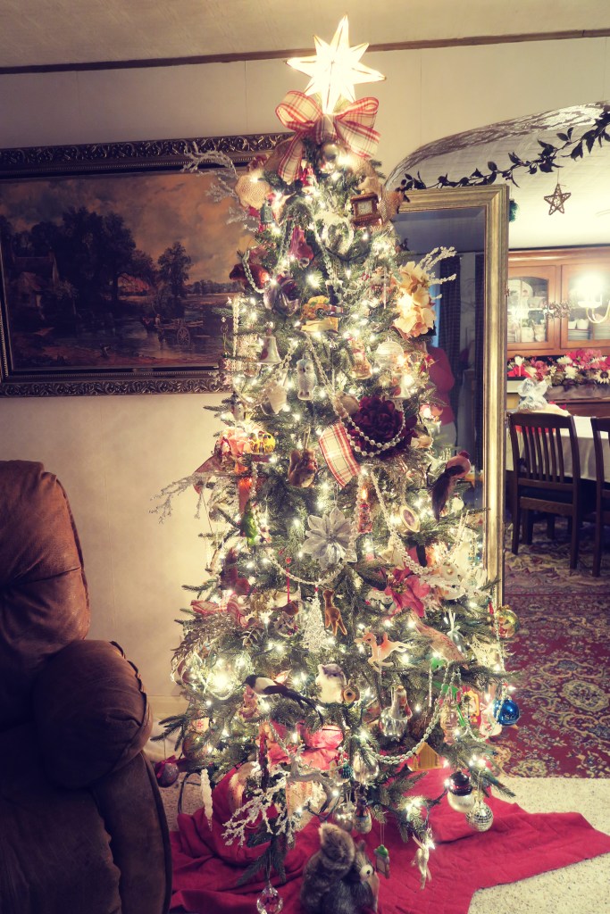 tree 2015-12-01 063
