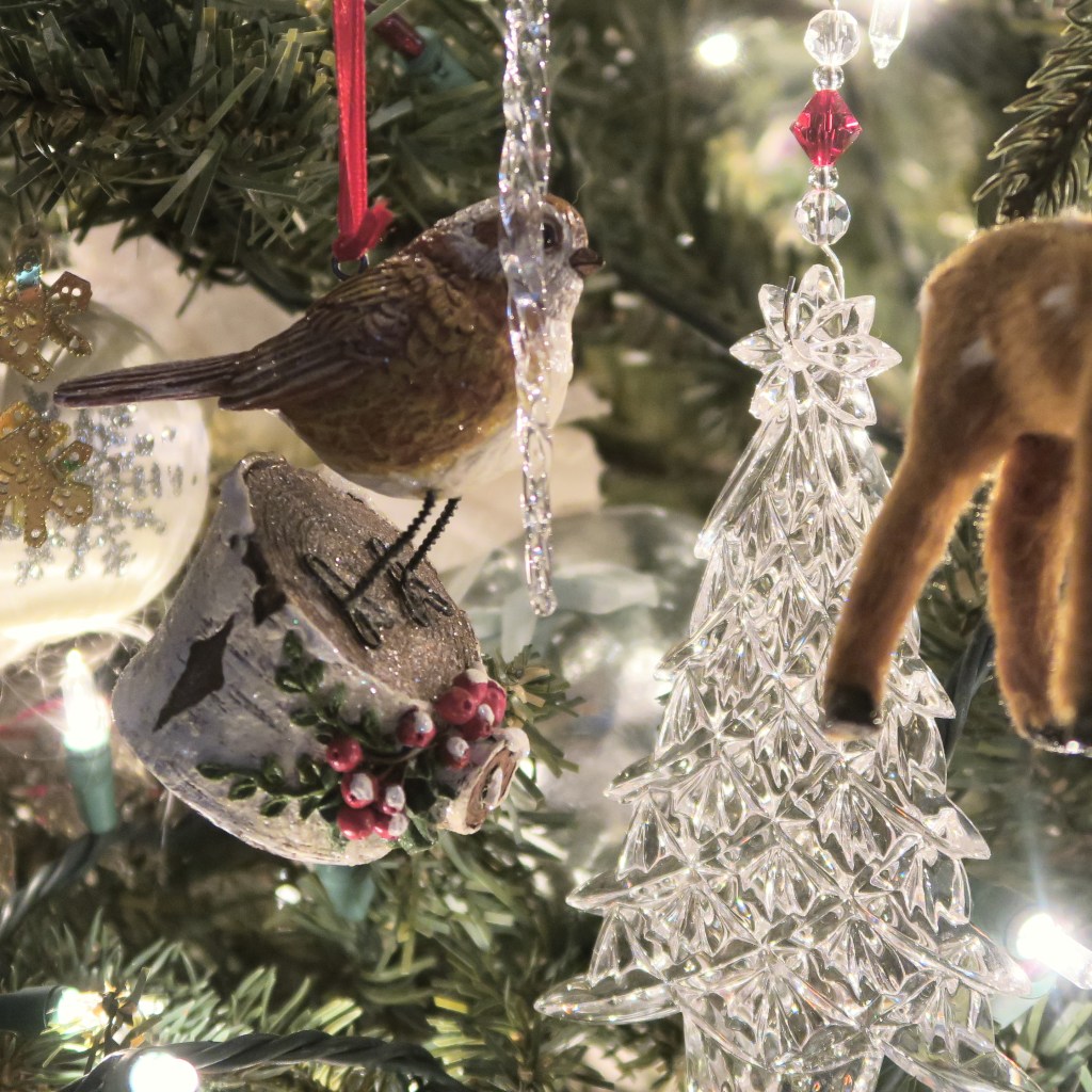 treedec 2015-12-12 072