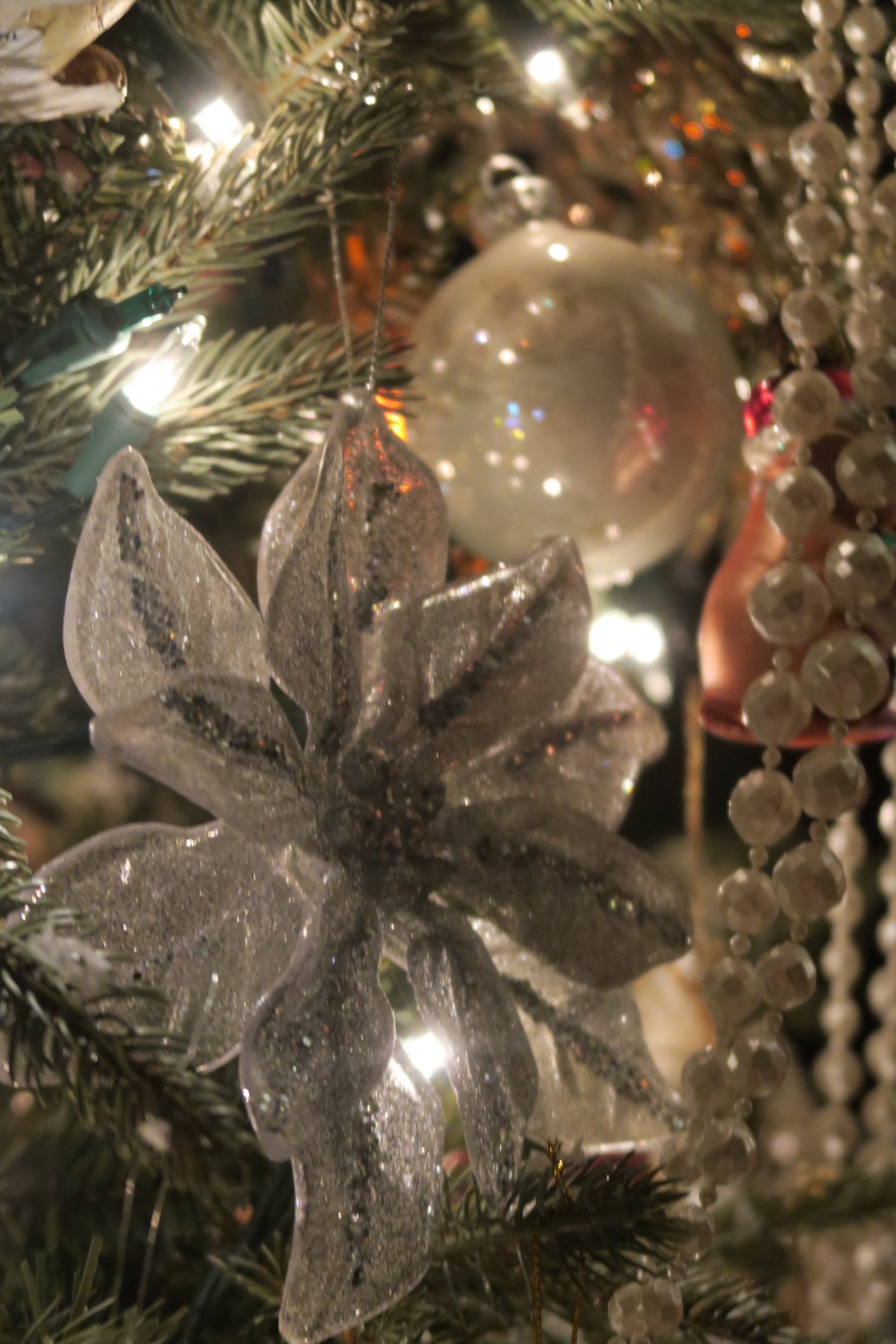 treedec7 2015-12-13 055.JPG