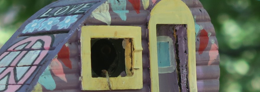 making artistic homes for feathered friends